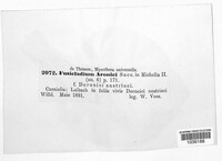 Image Associated With the Occurrence